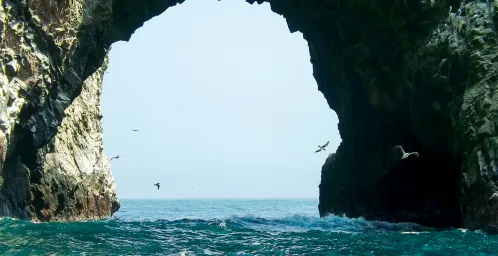 Ballestas eilanden - Nazca