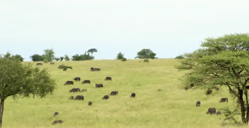 Arusha National Park