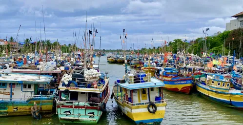 Aankomst in Sri Lanka - Negombo