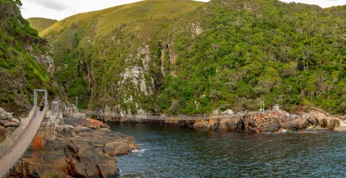 Tsitsikamma National Park