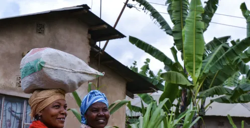 Koffietour & Materuni