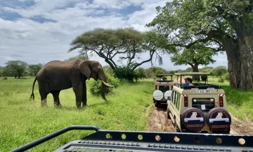 Rondreizen Tanzania