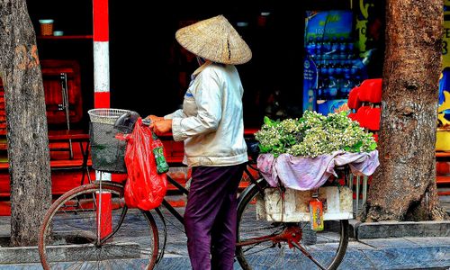 Zorg & verzekeringen Vietnam