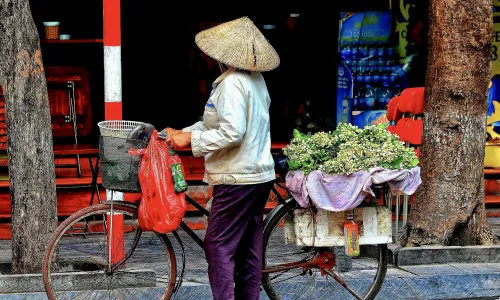 Zorg en verzekeringen Vietnam