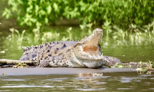 Fly-drive Costa Rica