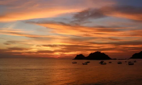 Reisvaccinaties Maleisië