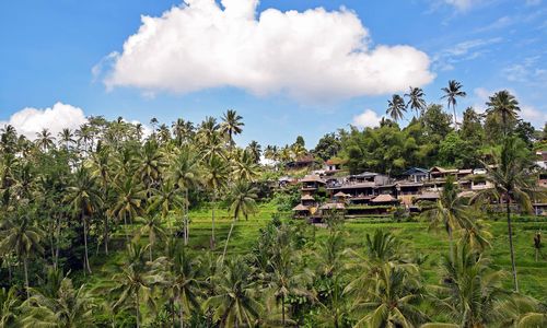 Hoelang rondreizen op Bali