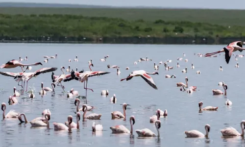 Populaire plekken Tanzania & Zanzibar