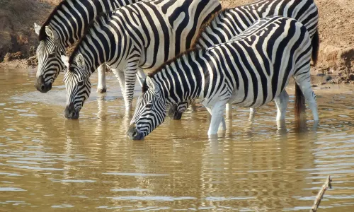 Welk deel van Zuid-Afrika is het mooist?