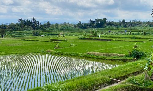 Reizen met schoolgaande kinderen
