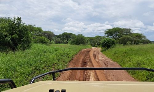 Georganiseerde rondreizen Tanzania