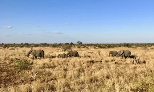 Kosten en prijzen Zuid-Afrika