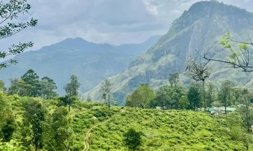 Kosten en budget Sri Lanka