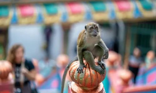 Lokale gebruiken Maleisië