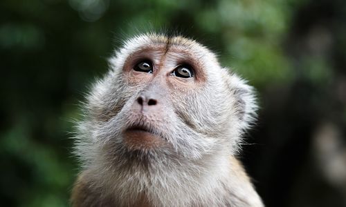 Hoe is de situatie in Maleisië?