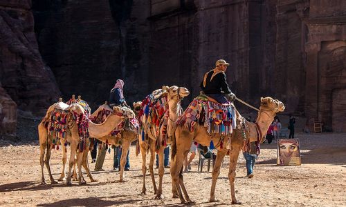 Familiereizen Jordanië