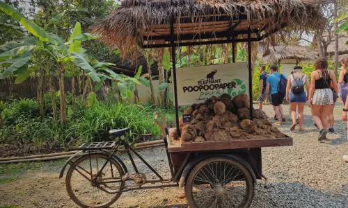 Zorg en verzekeringen Thailand