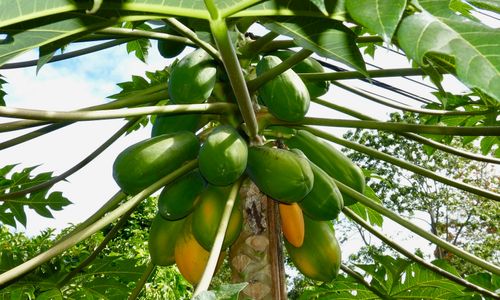 Kosten en prijzen Costa Rica