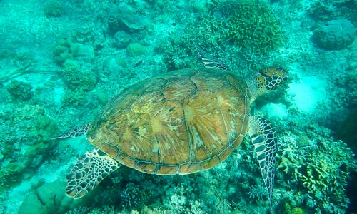 Gezinsreizen zonder keuzestress