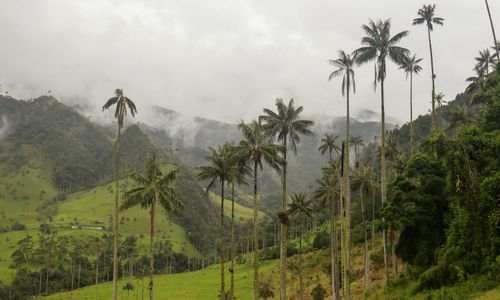 Welk deel van Colombia is het mooist?