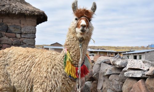 Hoe lang rondreizen in Peru?