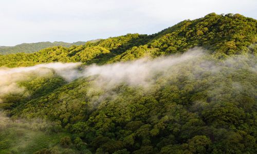 Hoogtepunten en bezienswaardigheden Costa Rica