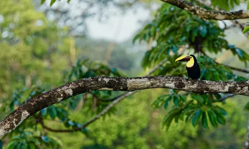 Zorg en verzekeringen Costa Rica