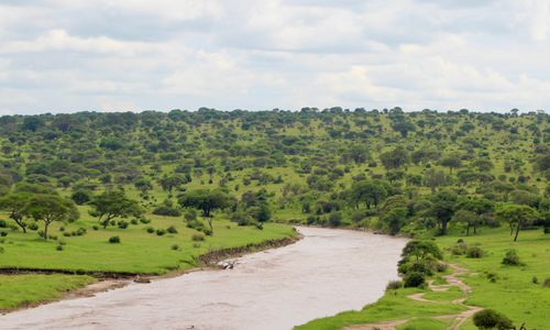 Temperatuur en klimaat Tanzania