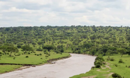 Temperatuur en klimaat Tanzania
