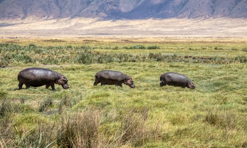 10 Redenen waarom je naar Tanzania moet!