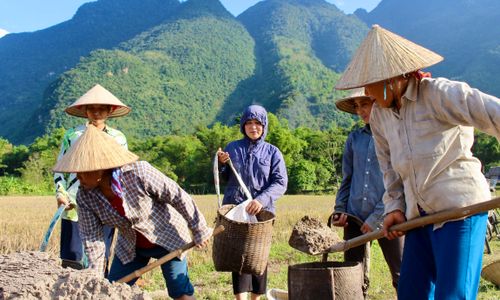 Rondreizen Vietnam