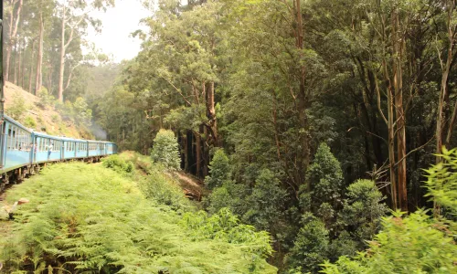 Hoe is de situatie in Sri Lanka?