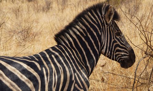 Betalen, pinnen en geld opnemen: Zuid-Afrika