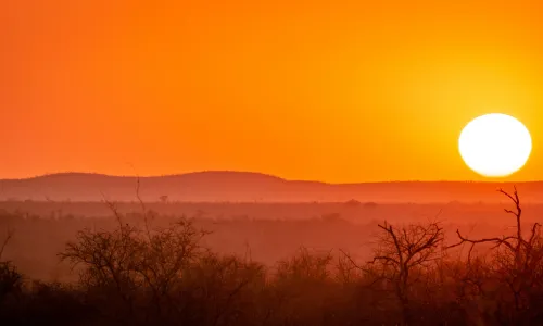Zorg en verzekeringen Zuid-Afrika