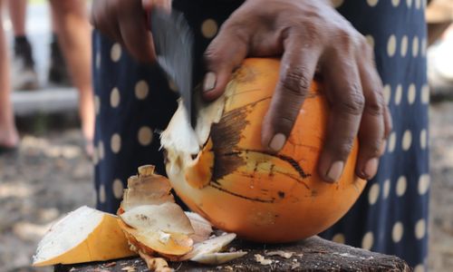 Hoogtepunten en bezienswaardigheden Sri Lanka