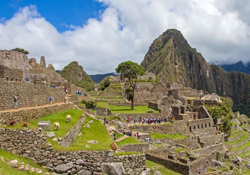 Machu Picchu