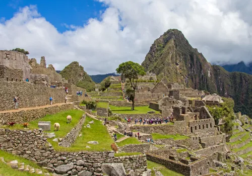 Machu Picchu