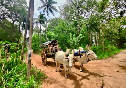 Village Tour Sigiriya Lion Rock