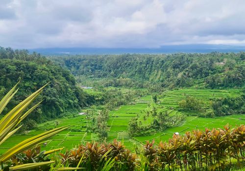 Rondreizen Indonesië