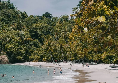 Manuel Antonio