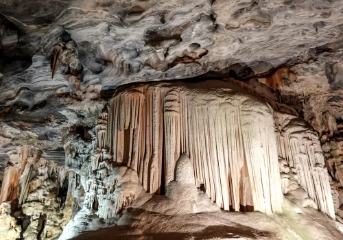 Cango Caves & Struisvogels