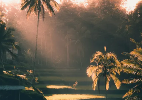 Vertrek naar huis of verlenging