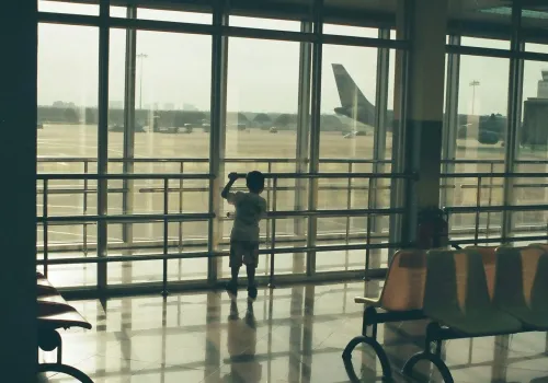 Terug naar Nederland