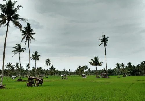 Aankomst in Bukit Lawang