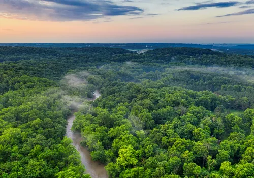 Gamitana River & exotisch fruit