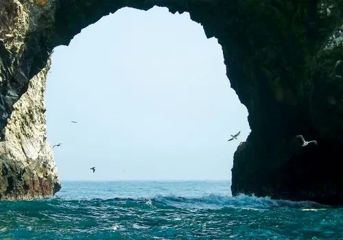 Ballestas eilanden - Nazca