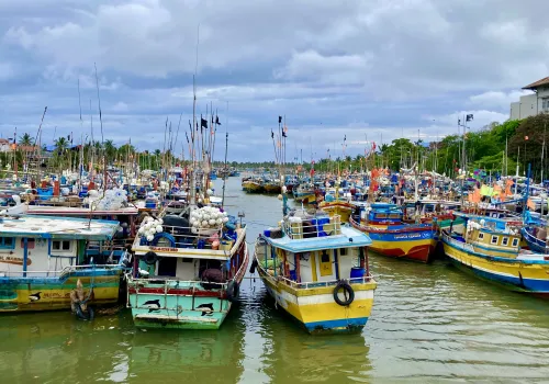 Aankomst in Sri Lanka - Negombo