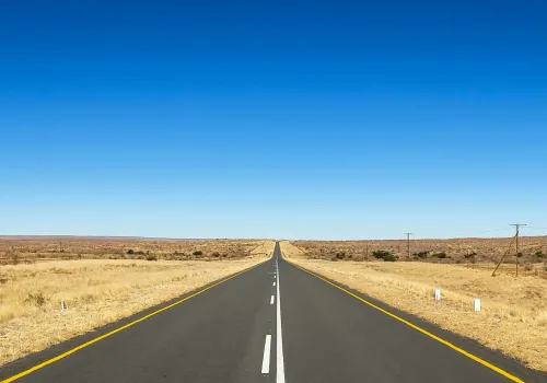 Terug naar Johannesburg