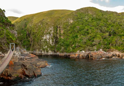 Tsitsikamma National Park