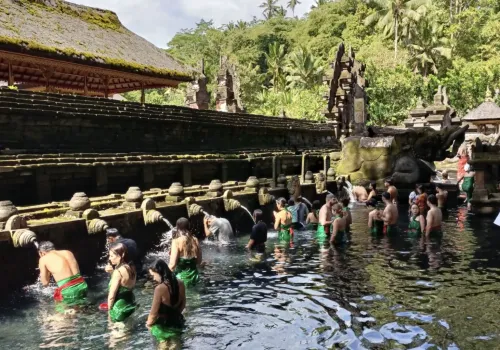 Ubud - Sanur